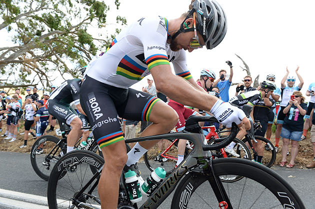 Peter Sagan